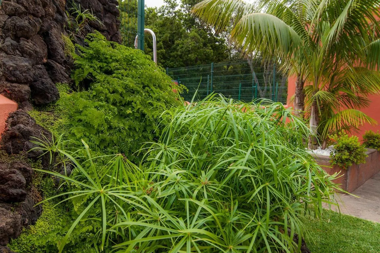 Finca El Pastel Tacoronte Hiszpania