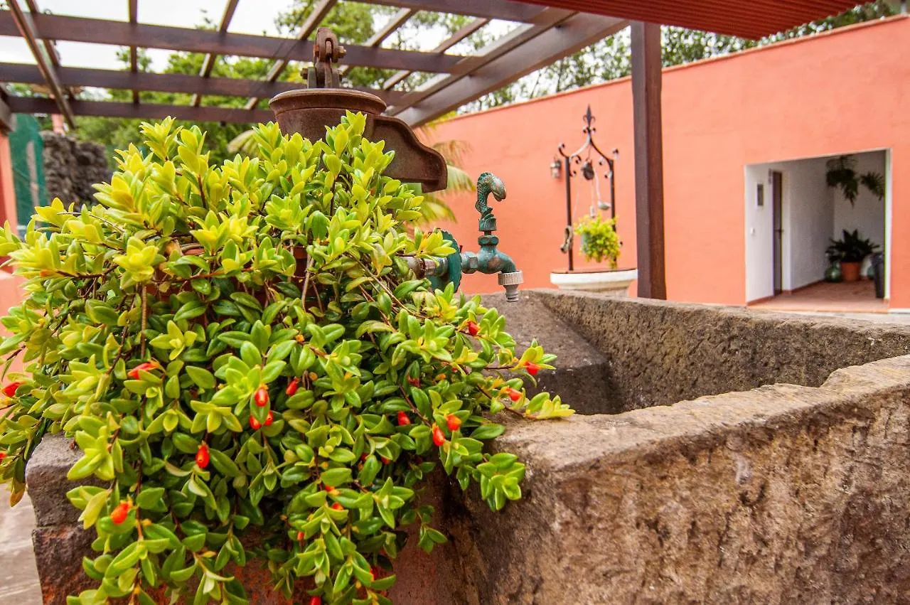 Finca El Pastel Tacoronte