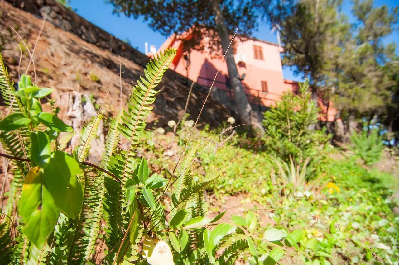 Finca El Pastel Tacoronte