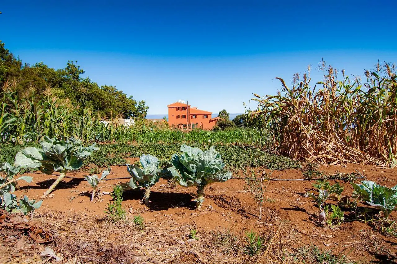 Finca El Pastel Tacoronte