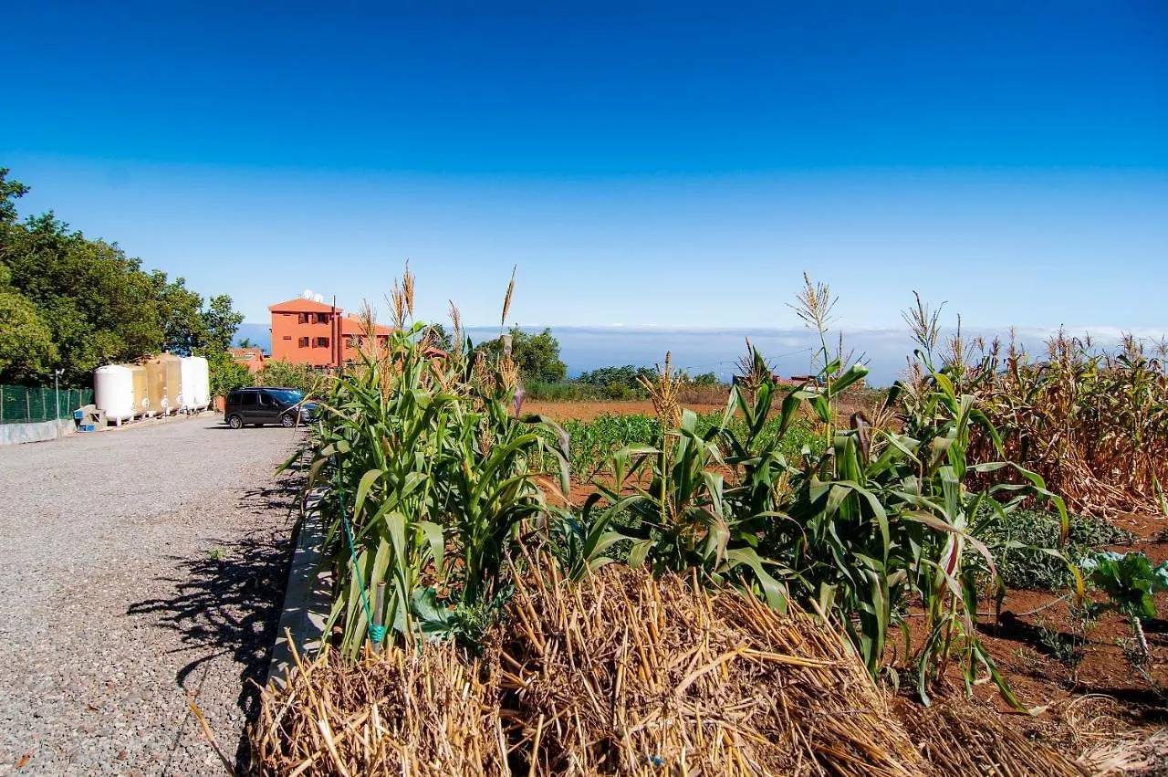 Finca El Pastel Tacoronte Spain