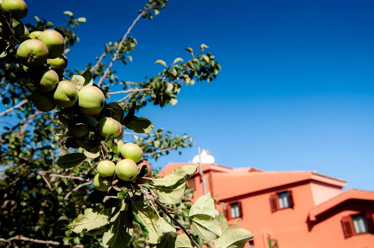 Finca El Pastel Tacoronte